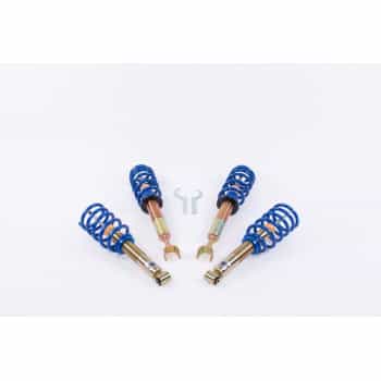 Amortiguador roscado AP Audi A6 2/1997- / VW Passat 10/1996-