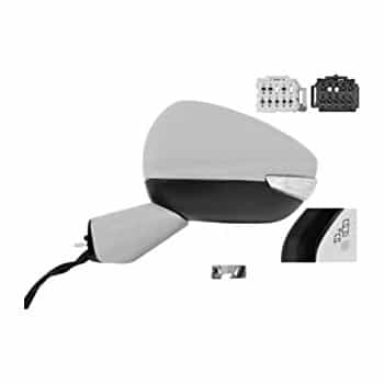 Espejo exterior izquierdo 0979827 Van Wezel