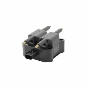 Bobina ZS382 Borgwarner Beru