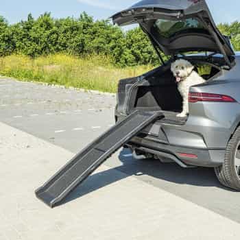 Canalón plegable para perros