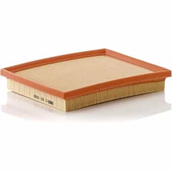 Filtro de aire C 22 009 Mann