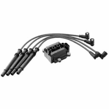 Bobina ZS325 Borgwarner Beru