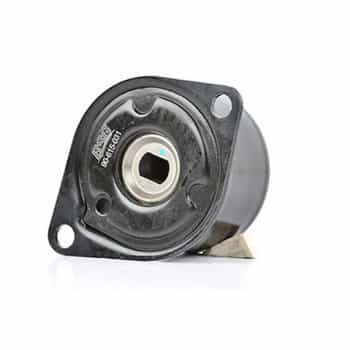 Tensor, correa poli V