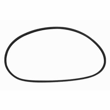 sello, ventana trasera