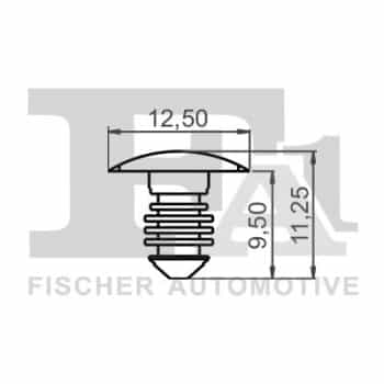 Clip, tira decorativa/protectora