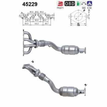 Catalizador 45229 AS