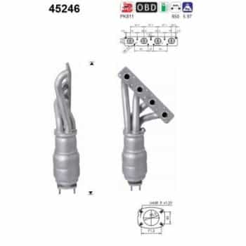 Catalizador 45246 AS