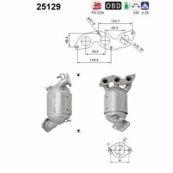 Catalizador 25129 AS
