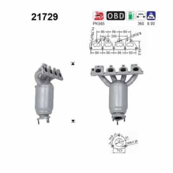 Catalizador 21729 AS