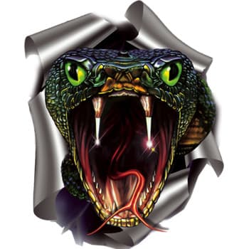 Pegatina Serpiente - 17,6 x 20 cm